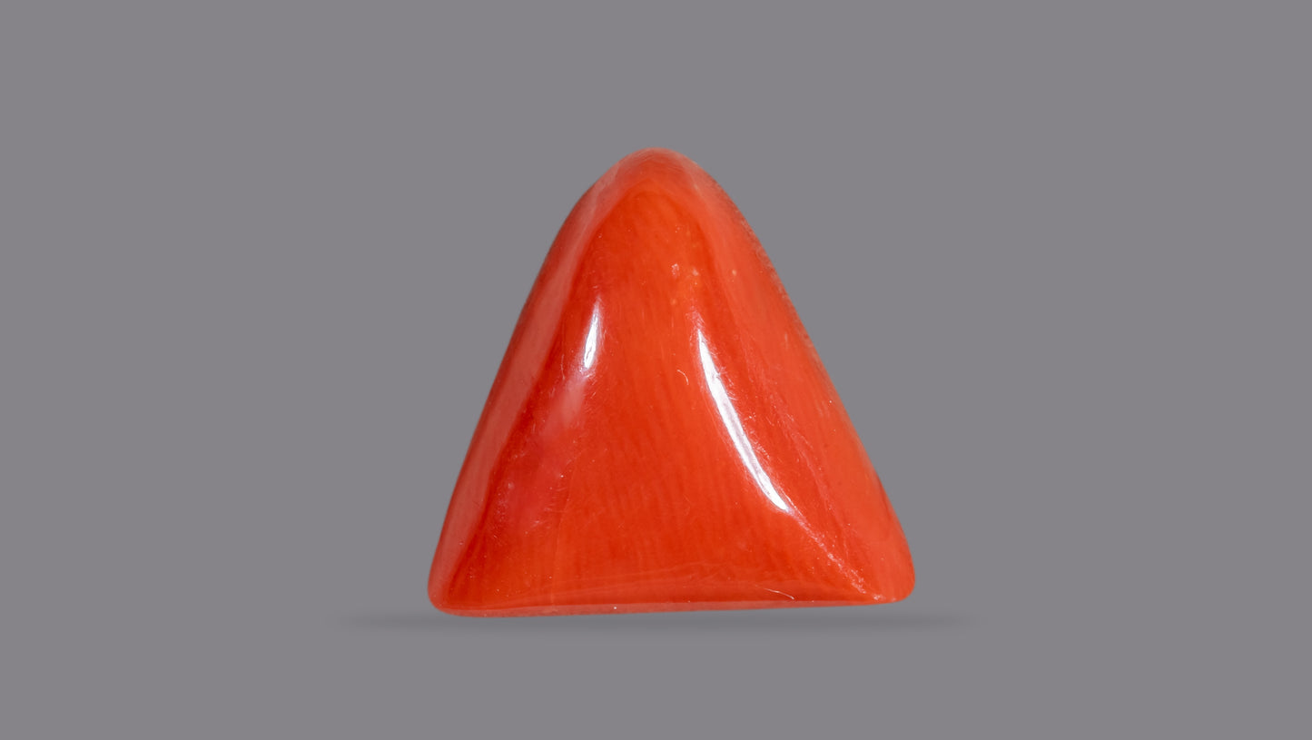 Natural Italian Red Coral (Moonga) 6.75 Carats