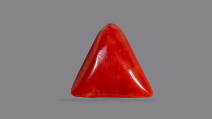 Natural Italian Red Coral (Moonga) 11.81 Carats