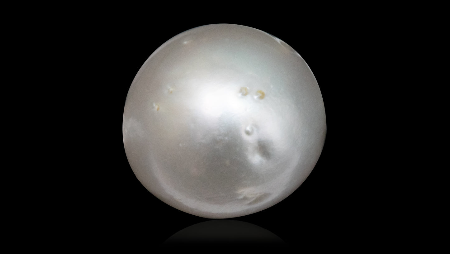 South Sea Pearl 8.19 Carats