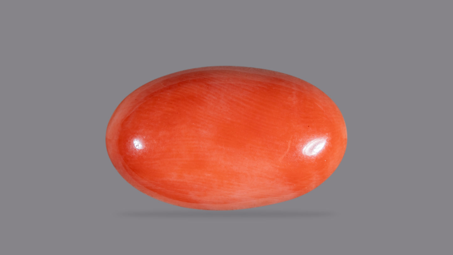 Japanese Red Coral (Moonga) 12.11 Carats