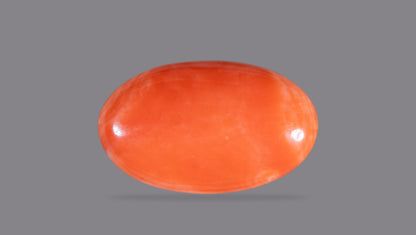 Japanese Red Coral (Moonga) 11.49 Carats