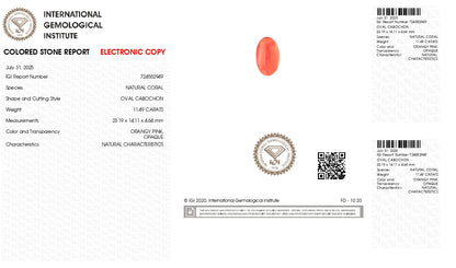 Japanese Red Coral (Moonga) 11.49 Carats