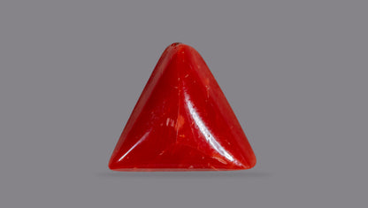 Natural Italian Red Coral (Moonga) 6.06 Carats