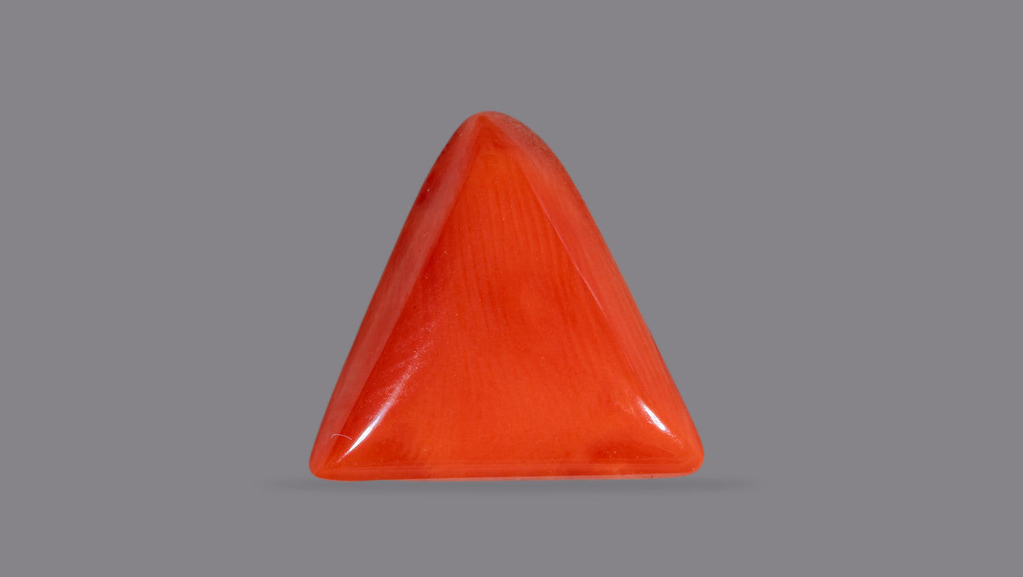 Natural Italian Red Coral (Moonga) 6.23 Carats