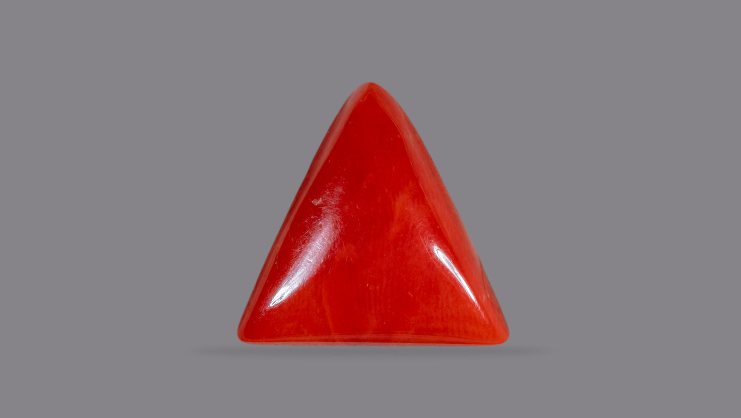 Natural Italian Red Coral (Moonga) 10.89 Carats