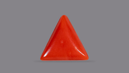 Natural Italian Red Coral (Moonga) 6.48 Carats