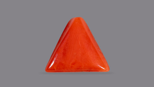 Natural Italian Red Coral (Moonga) 6.92 Carats