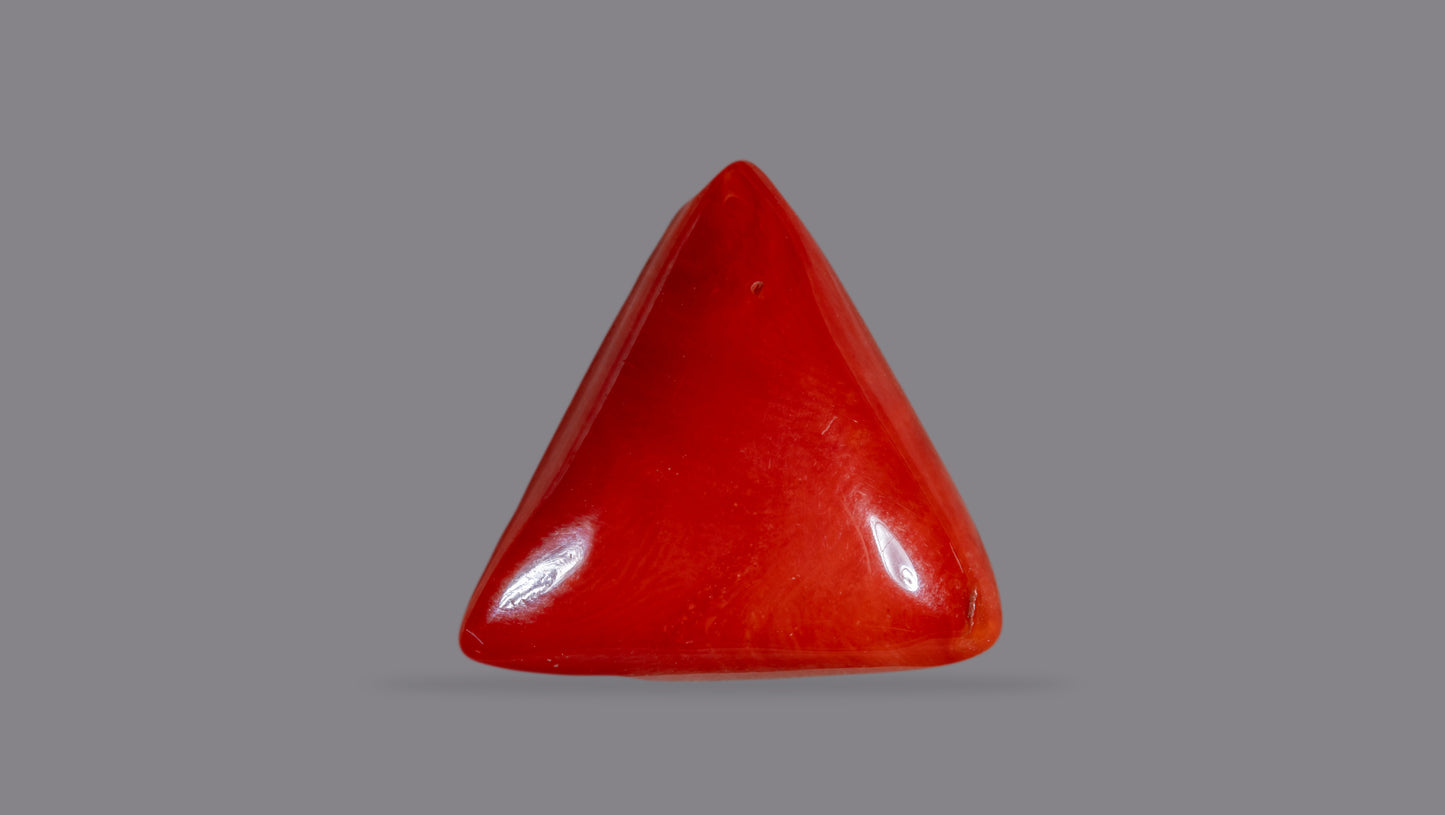 Natural Italian Red Coral (Moonga) 16.79 Carats