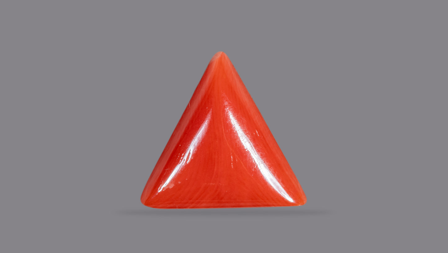 NATURAL RED CORAL (Moonga) 7.00 CARATS