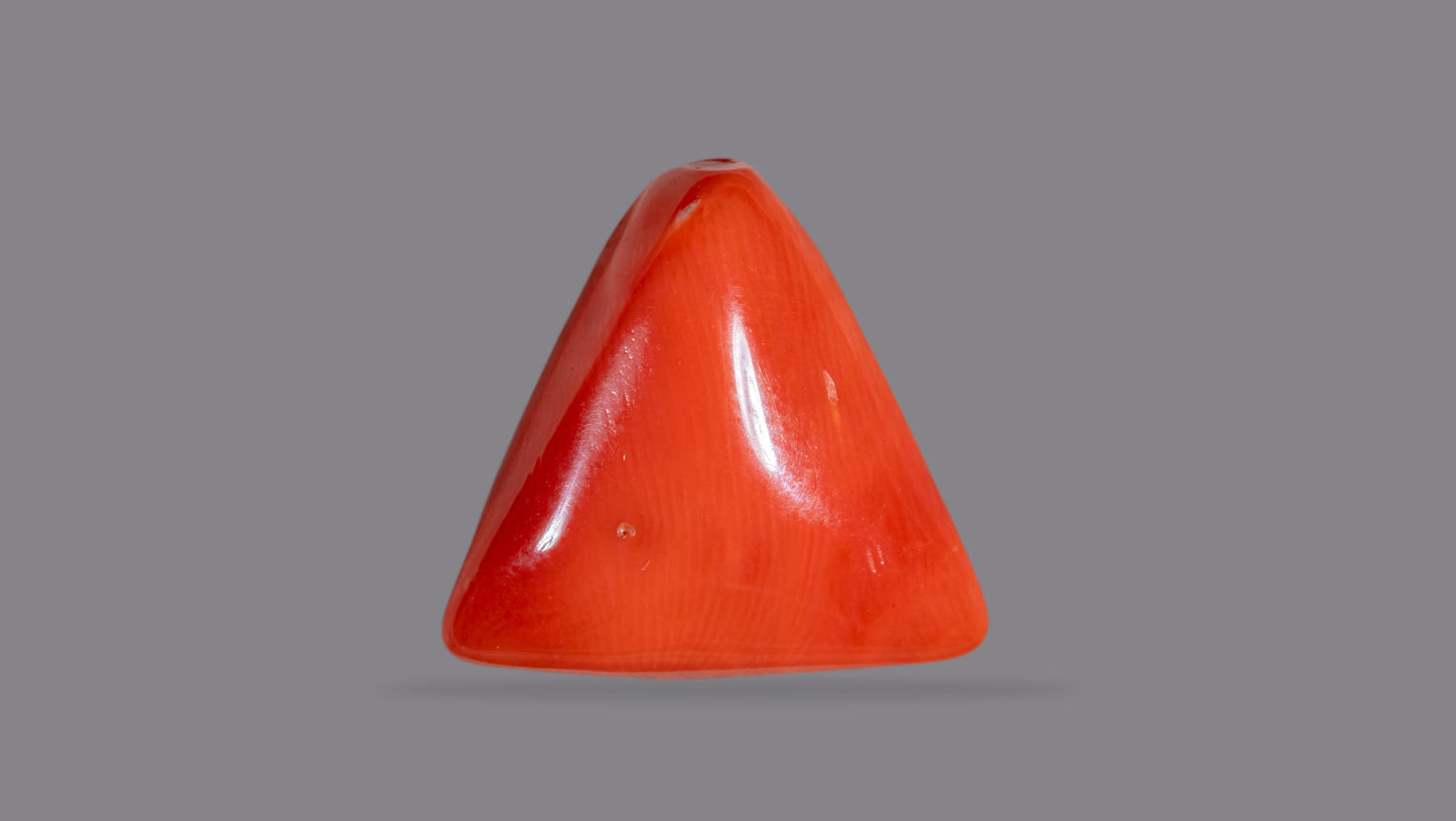 NATURAL RED CORAL (Moonga) 13.83 CARATS