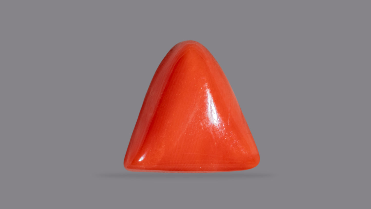 Natural Italian Red Coral (Moonga) 6.52 Carats