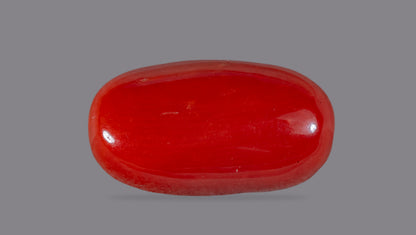 NATURAL RED CORAL (Moonga) 7.15 CARATS
