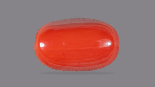Natural Italian Red Coral (Moonga) 11.54 Carats