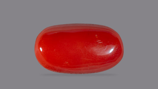 NATURAL RED CORAL (Moonga) 5.85 CARATS