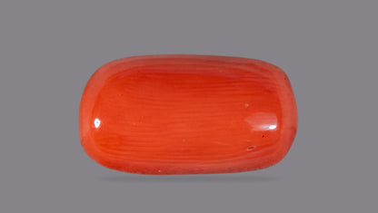 Natural Italian Red Coral (Moonga) 6.77 Carats