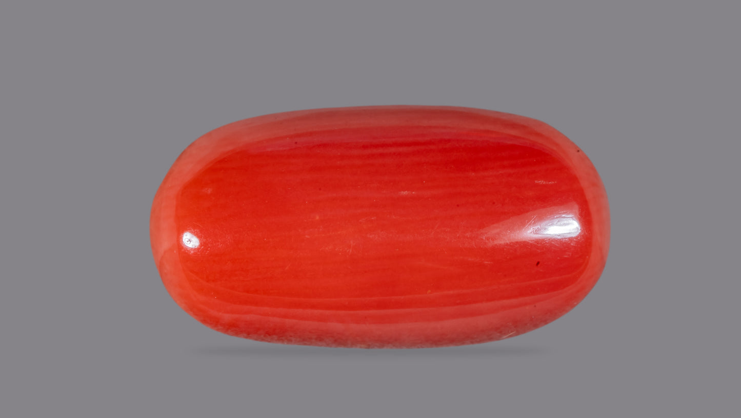 NATURAL RED CORAL (Moonga) 7.43 CARATS