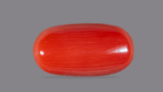 NATURAL RED CORAL (Moonga) 7.43 CARATS