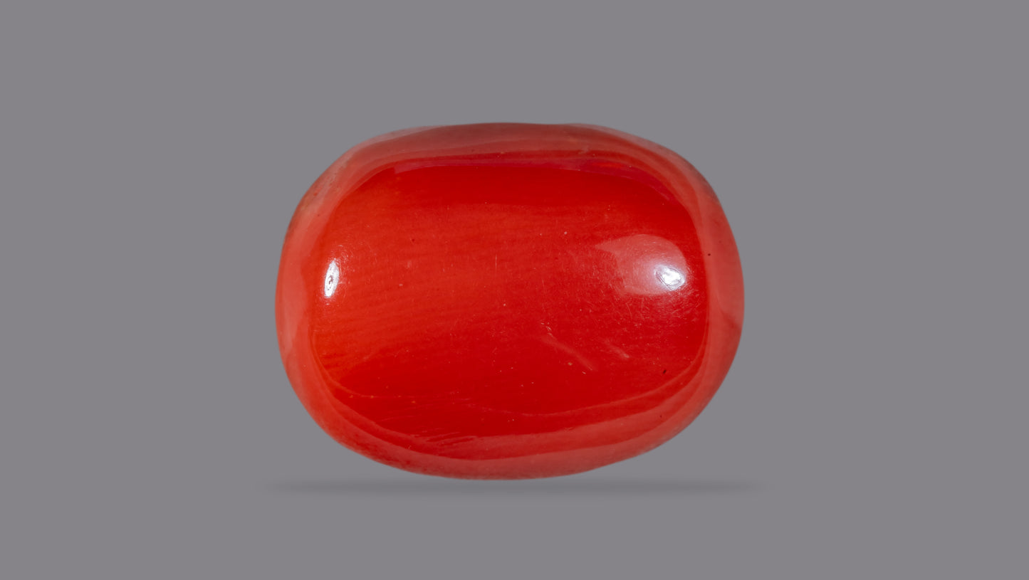 Natural Italian Red Coral (Moonga) 12.25 Carats