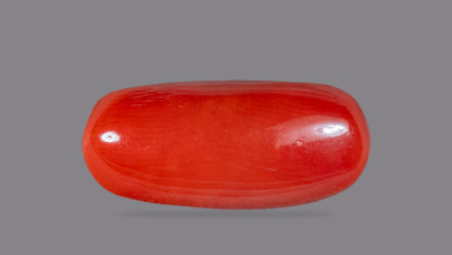 Natural Italian Red Coral (Moonga) 7.44 Carats