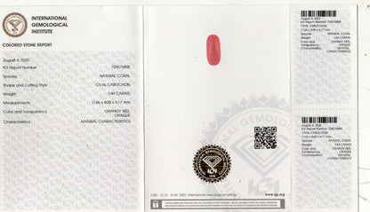 Natural Italian Red Coral (Moonga) 7.44 Carats