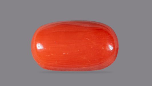 Natural Italian Red Coral (Moonga) 9.55 Carats