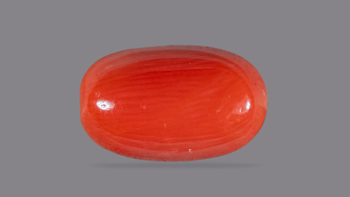Natural Red Coral (Moonga) 8.04 Carats