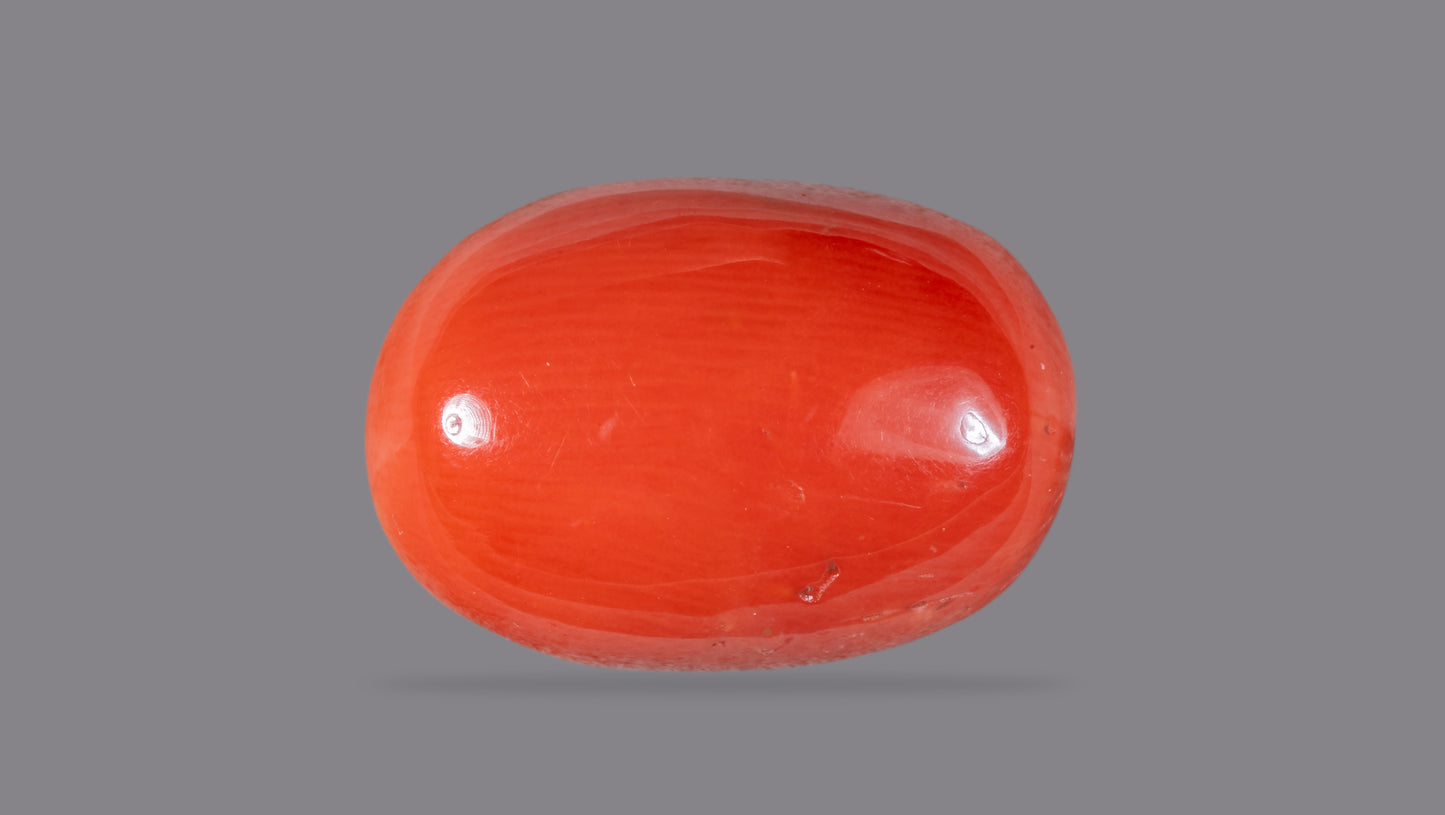 Natural Italian Red Coral (Moonga) 10.08 Carats