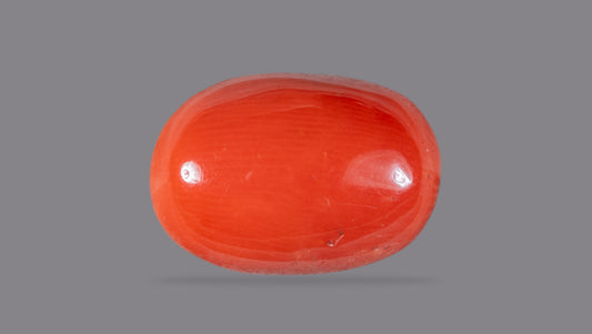 Natural Italian Red Coral (Moonga) 10.08 Carats