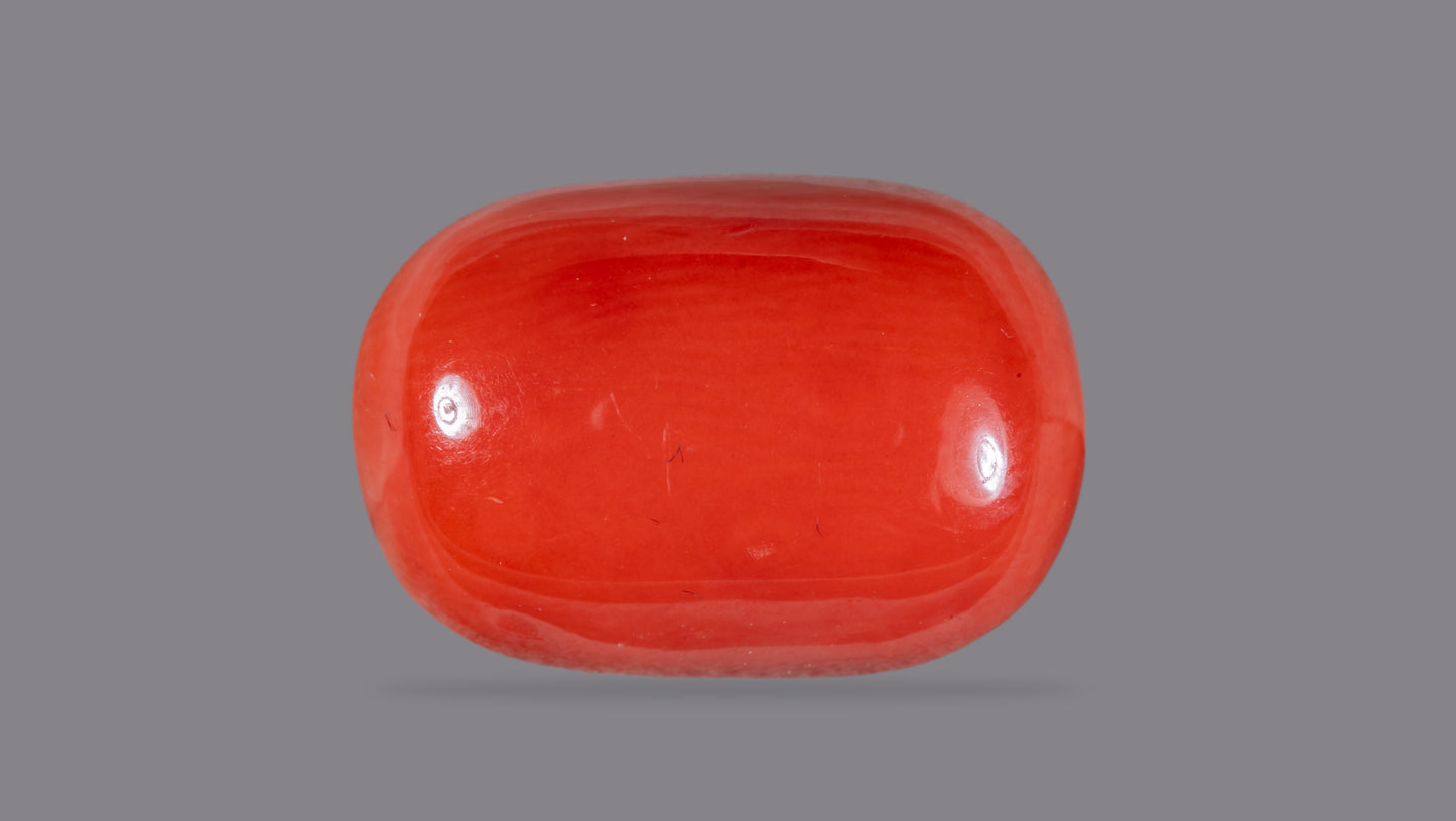 Natural Italian Red Coral (Moonga) 12.63 Carats