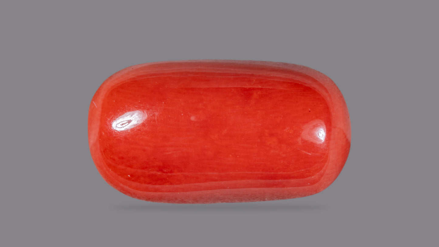 Natural Italian Red Coral (Moonga) 14.25 Carats