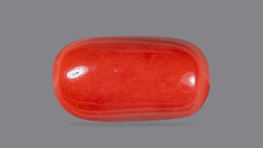 Natural Italian Red Coral (Moonga) 14.25 Carats