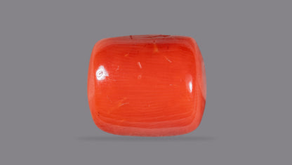 Natural Italian Red Coral (Moonga) 13.52 Carats