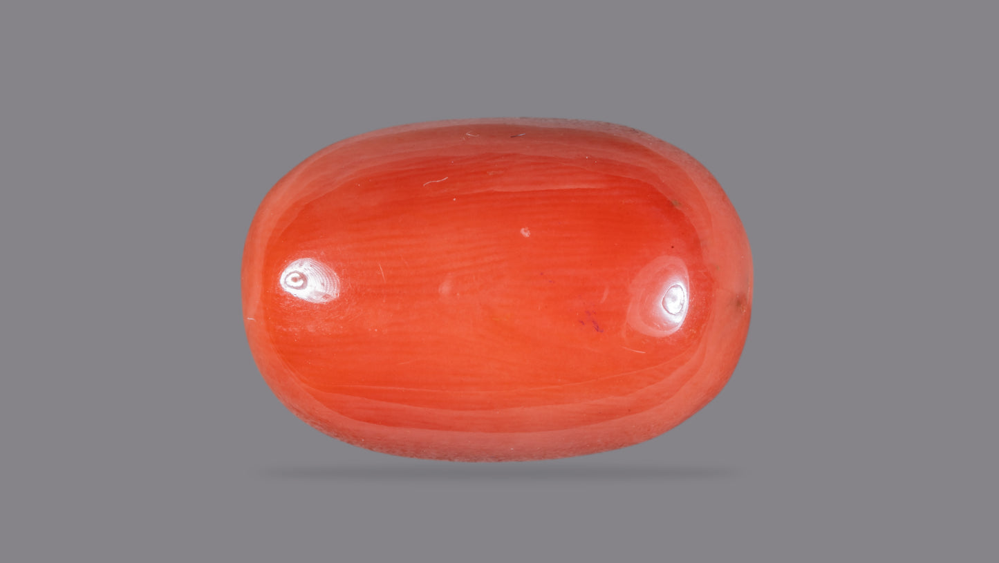 Natural Italian Red Coral (Moonga) 13.29 Carats