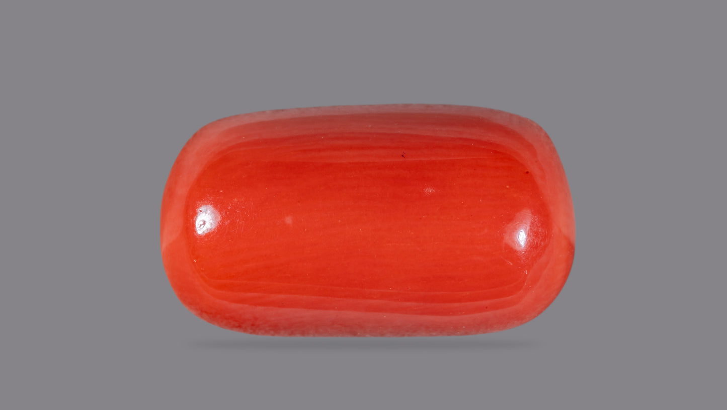 Natural Italian Red Coral (Moonga) 9.98 Carats