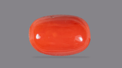 Natural Italian Red Coral (Moonga) 8.36 Carats
