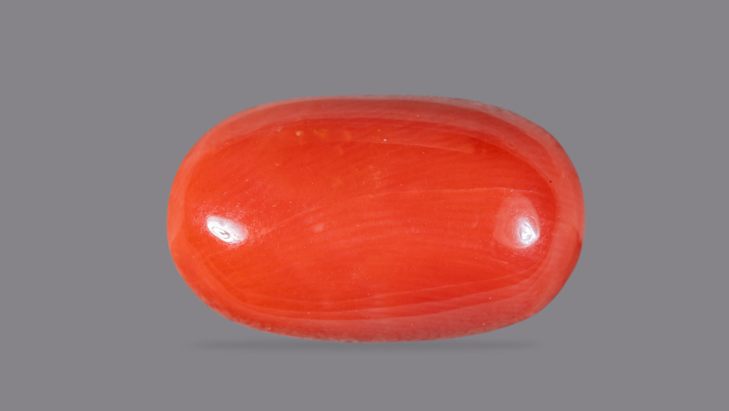 NATURAL RED CORAL (Moonga) 9.87 CARATS