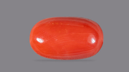 NATURAL RED CORAL (Moonga) 9.87 CARATS