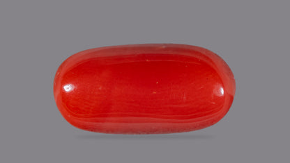 Natural Italian Red Coral (Moonga) 8.10 Carats