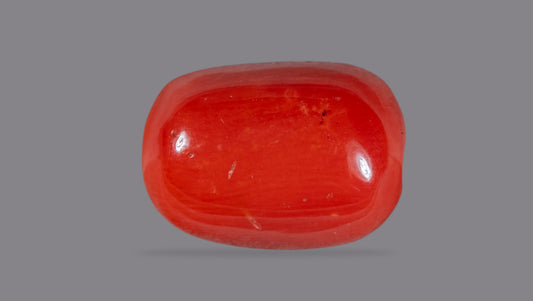 Natural Italian Red Coral (Moonga) 8.12 Carats