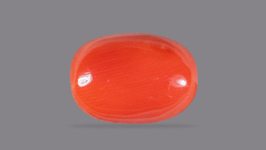 Natural Red Coral (Moonga) 8.91 Carats