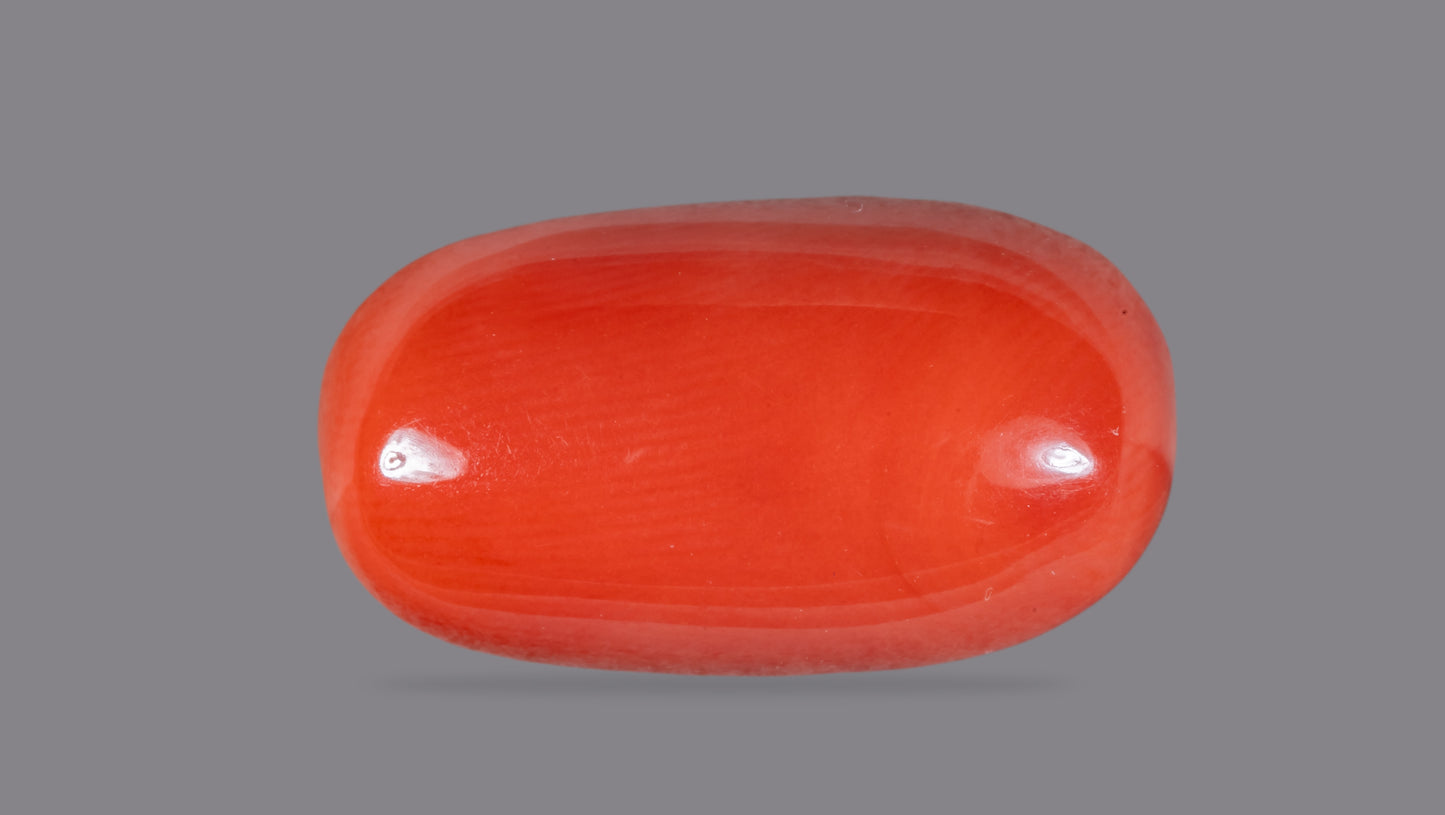 NATURAL RED CORAL (Moonga) 7.92 CARATS