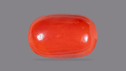 Natural Italian Red Coral (Moonga) 10.68 Carats