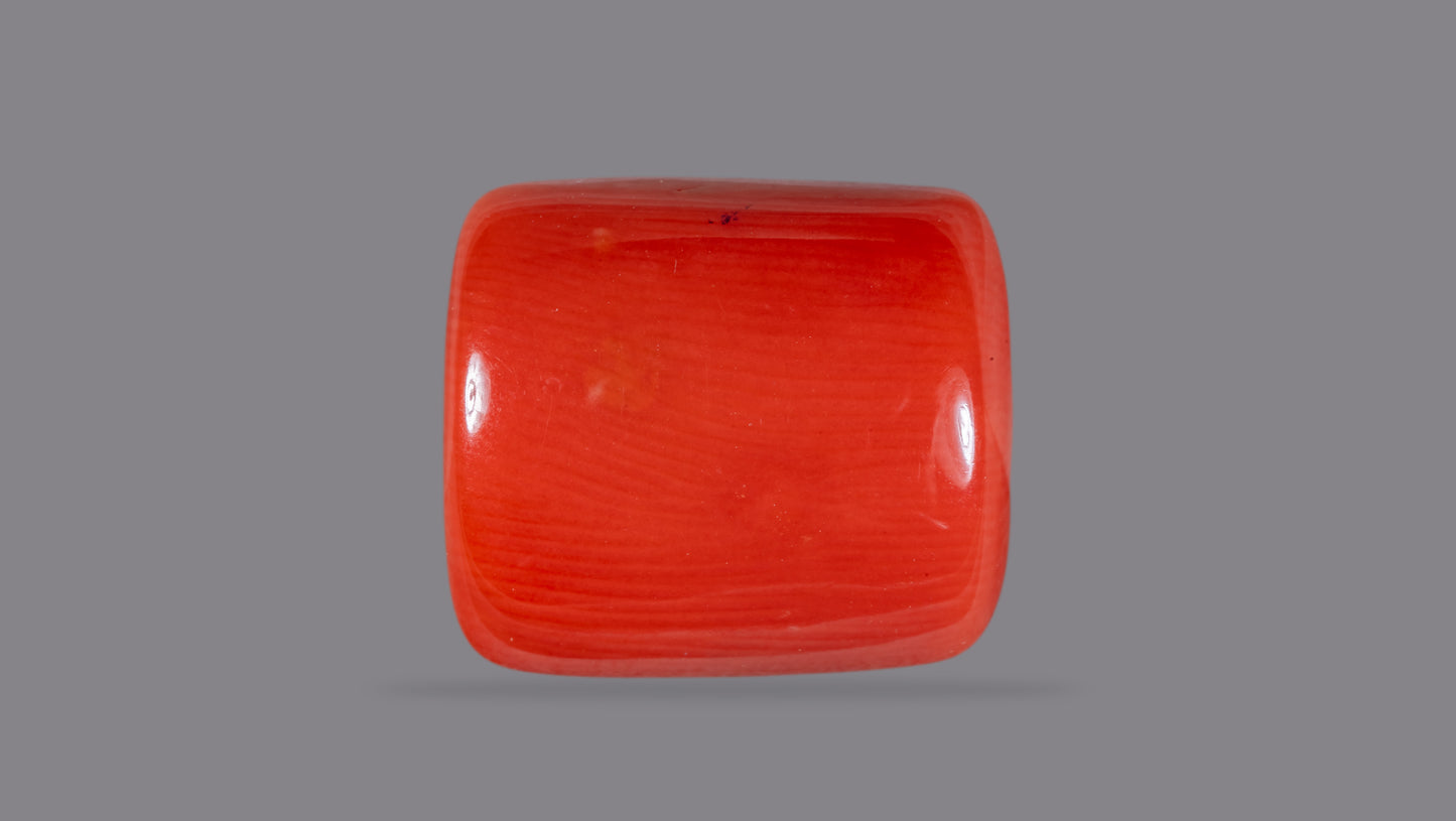 Natural Italian Red Coral (Moonga) 13.95 Carats