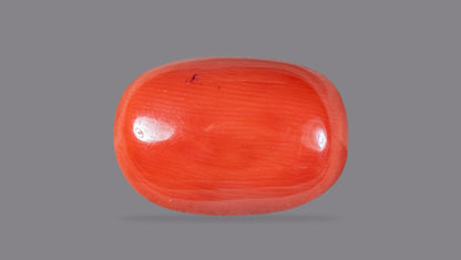 Natural Italian Red Coral (Moonga) 12.48 Carats