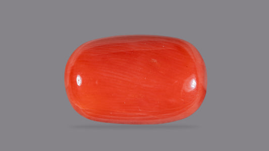 Natural Italian Red Coral (Moonga)12.59 Carats