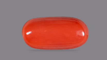 Natural Red Coral (Moonga) 8.23 Carats