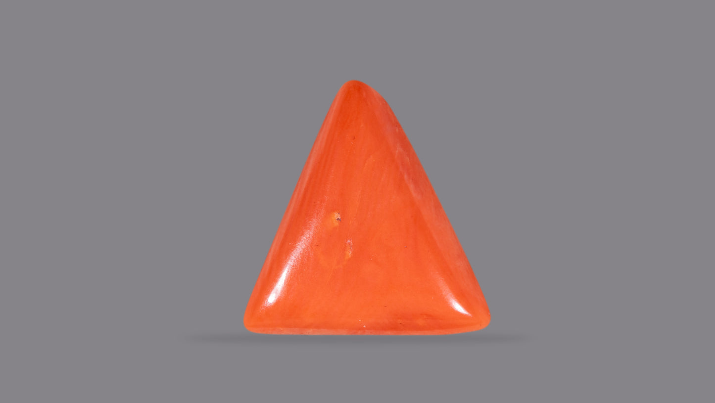 NATURAL RED CORAL (Moonga) 4.48 CARATS
