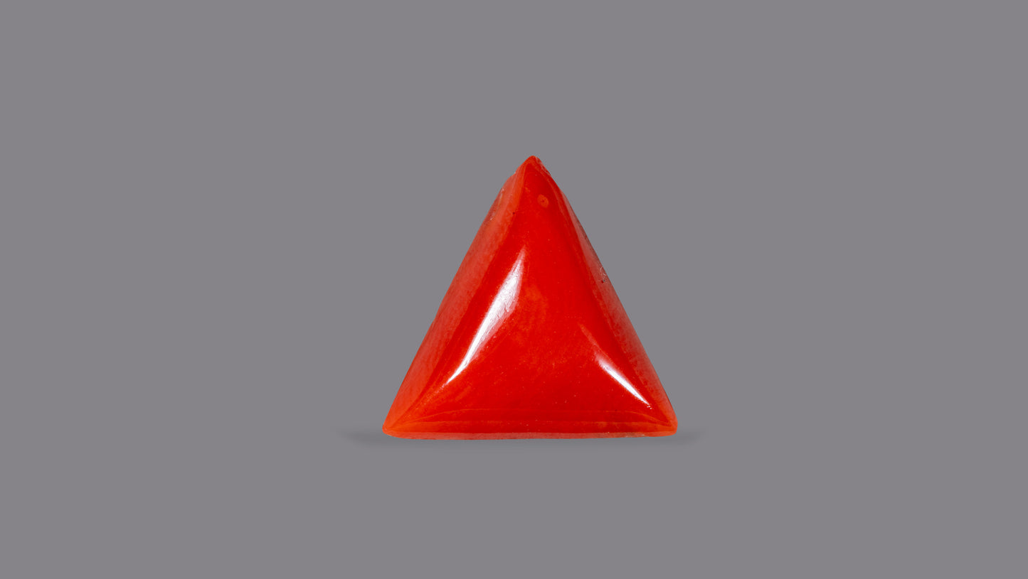 NATURAL RED CORAL (Moonga) 7.50 CARATS