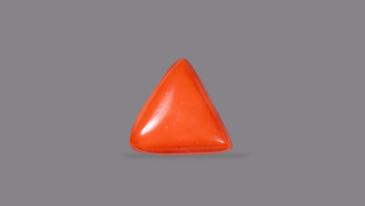 Natural Italian Red Coral (Moonga) 31.46 Carats
