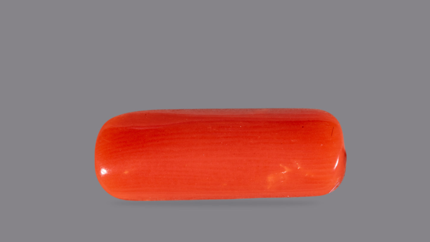 Natural Italian Red Coral (Moonga) 4.60 Carats